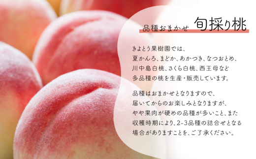【特選品】旬採り桃(品種おまかせ) 5-7玉 (岡山県産) / もも 桃 モモ 先行予約 フルーツ 果物 真庭市 フルーツ王国 きよとう果樹園 岡山 【KF-A001-02】