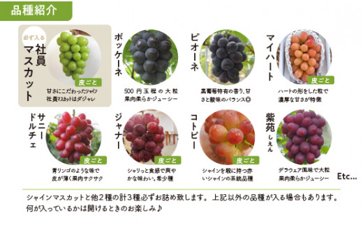 ã2026幎å
è¡äºçŽãæ¬ã®ã¶ã©ãïŒå皮詰ãåãã(ã·ã£ã€ã³ãã¹ã«ããå
¥ã) 3~5æ¿/èš2.0kg~ (岡山çç£) ãKF-B067-02ã