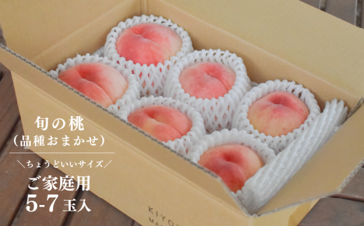 ã2026幎å
è¡äºçŽãæ¬æ¡ãæ¡ãšã·ã£ã€ã³ãã¹ã«ããã©ã£ã¡ãé£ã¹ãã䟿ïŒïŒå䟿(å®æäŸ¿) (岡山çç£)ãKF-T012-04ã