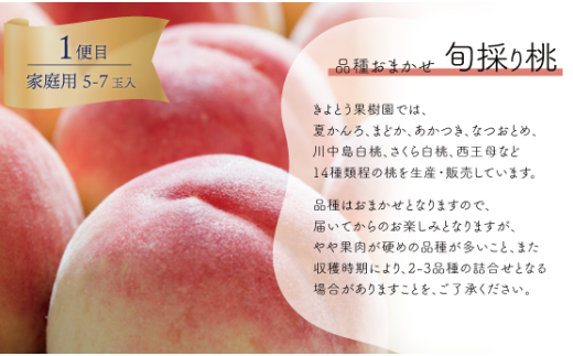 ã2026幎å
è¡äºçŽãæ¡ã»ã¶ã©ãã»æ¢šãå
šïŒåå±ã岡山ãã«ãŒãå®æäŸ¿ (岡山çç£)ãKF-T006-02ã