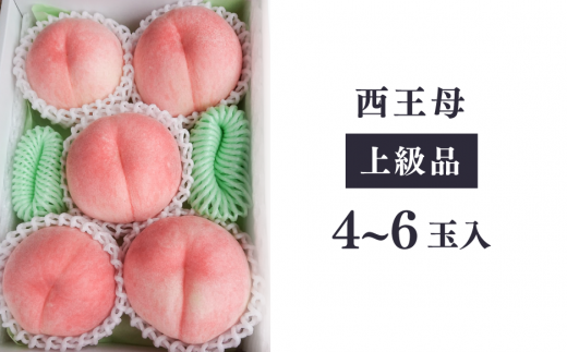 【2026年先行予約】西王母（上級品）4-6玉入 (岡山県産) 【KF-A011-02】