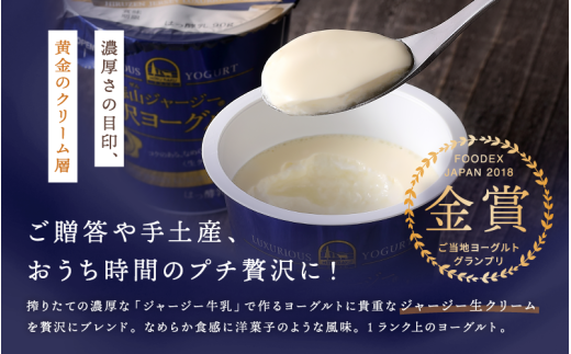 【定期便12ヶ月】 ヨーグルト 蒜山ジャージー贅沢ヨーグルト（90g） 10個入×12回 ご当地ヨーグルトグランプリ金賞 岡山 蒜山 真庭 プレゼント 贈答 セット デザート ギフト 牛乳 冷蔵 【hiru-tkb007】