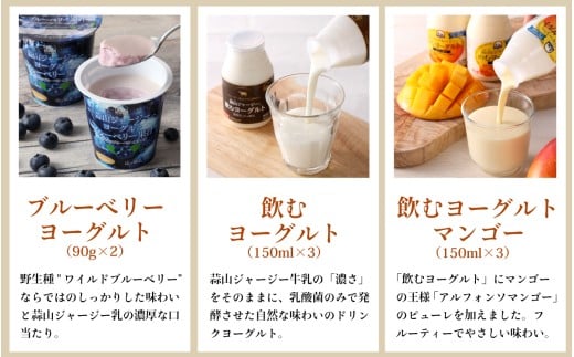 蒜山ジャージーヨーグルト 6種 14点セット 詰め合わせ 食べ比べ ひるぜん 蒜山酪農 真庭 岡山 ジャージー ギフト【hiru009-01】