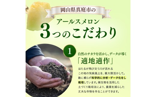 【2026年先行予約】 岡山メロン アールスメロン2玉（3kg以上） ※7月末より順次発送 岡山県 真庭市 フルーツ 果物 高級 ギフト 贈答 ご家庭用 【mnem002-01】