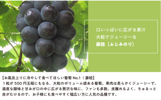 ã2026幎å
è¡äºçŽã倧ç²ã¶ã©ãã®è€çš ã詊ãïŒæ¿å
¥ / æ¿600gä»¥äž (岡山çç£) / ãµãã¿ã®ã è€ã¿ã®ã ã¶ã©ã ãã㊠è¡è å
è¡äºçŽ ãã«ãŒã æç© çåºåž ãã«ãŒãçåœ ãããšãææš¹åãKF-B088-03ã