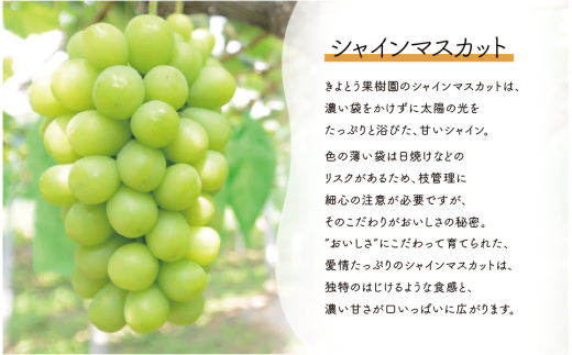 シャインマスカット＆ニューピオーネ 3-5房/計2.0kg～ (岡山県産) 【KF-B070-03】