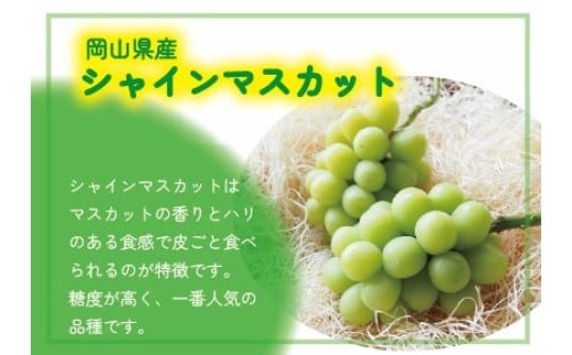 【2026年先行予約】 ここちとふぁーむ 【ご自宅用】 岡山県産 シャインマスカット お試し1房 500g以上 【koko014-01】