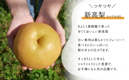 【2026年先行予約】新高梨 ご家庭用 3-6玉 (岡山県産)【KF-C020-01】