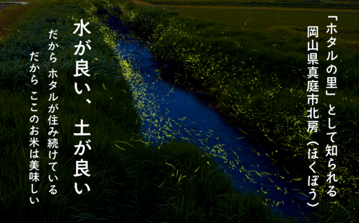 ã什å7幎ç£ããã¬ããã ã岡山ã»ããç±³ã 粟米5kg (岡山çç£) ç£å°çŽé ãæ°ééå®ã çåºåžãKF-R001-02ã