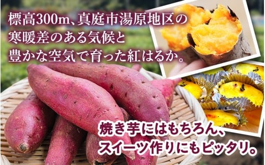 【訳あり】針山さんちのさつまいも 紅はるか 5kg / さつまいも 紅はるか 岡山県 野菜 【ybrf002-01】