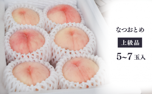 【2026年先行予約】甘い桃「なつおとめ」上級品 5~7玉入 (岡山県産) 【KF-A017-01】