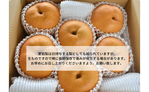 ãããæ¢š ãå®¶åºçš / çŽ5kg (岡山çç£) / ãããæ¢š æå®æ¢š 梚 ãå®¶åºçš æç© ãã ãã® ãã«ãŒã 忢š ãKF-C008-03ã