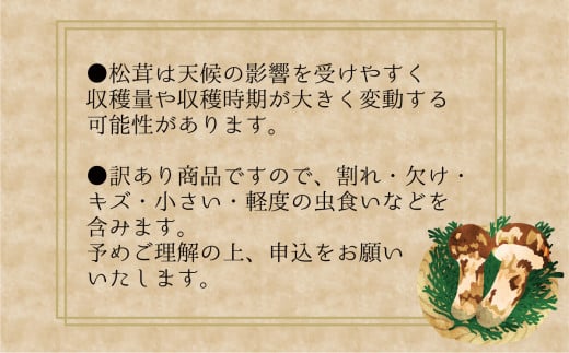 ã2026幎å
è¡äºçŽãè±ç¬ã¿èŸ²åã岡山ã®èš³ãããæŸèžã200g ãhana023-02ã