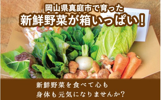 まにわの野菜 真庭あぐり野菜セット 7～8品 カット野菜入り 平飼い卵付き  / 詰め合わせ 産地直送 岡山県 真庭市 新鮮 あぐりガーデン 産直工房 国産【配送不可地域：北海道／沖縄県／離島】【jujy054-01】