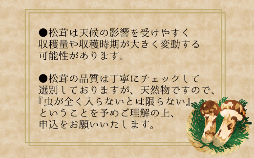 ã2026幎å
è¡äºçŽãè±ç¬ã¿èŸ²åãè¶
åžå°ïŒæ©ãæŸèžã200gïœæ¢
éšã®æµã¿ãïŒ6ïœ7æçºéïŒ ãhana024-02ã