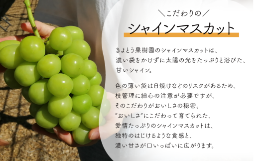 ã2026幎å
è¡äºçŽãæ¡ãšã·ã£ã€ã³ãã¹ã«ãããç£å°çŽéã§å±ãïŒãå®¶åºçšïŒå䟿 (å®æäŸ¿)(岡山çç£)ãKF-T048-04ã