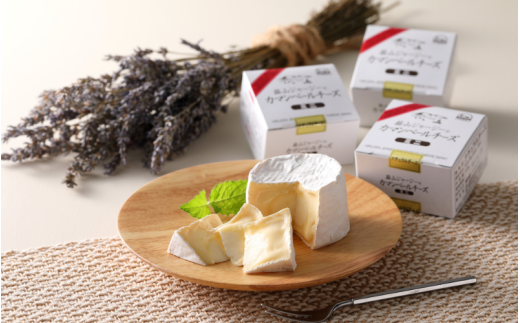 蒜山ジャージーのバター・チーズ・ヨーグルトのセット 詰め合わせ 食べ比べ ひるぜん 蒜山酪農 真庭 岡山 ジャージー  ギフト 冷蔵【hiru025-01】