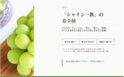 【2026年先行予約】 マスカサーティーン【シャイン一族の希少品種】 1.5㎏（3房または4房） 高級 シャインマスカット よしだ葡萄園 朝どれ直送【10月上旬～10月下旬頃に順次発送】/ ぶどう シャインマスカット 果物フルーツ 贈答品 贈り物 岡山県 真庭市【ysdb005】