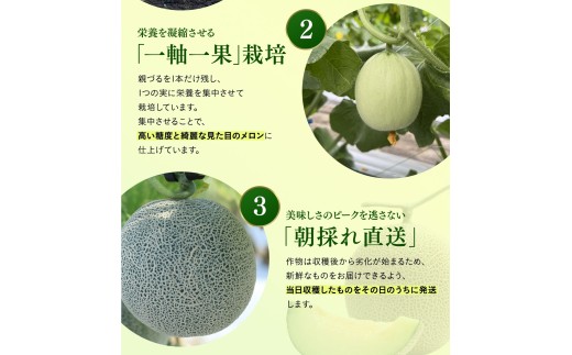 【2026年先行予約】 岡山メロン アールスメロン2玉（3kg以上） ※7月末より順次発送 岡山県 真庭市 フルーツ 果物 高級 ギフト 贈答 ご家庭用 【mnem002-01】