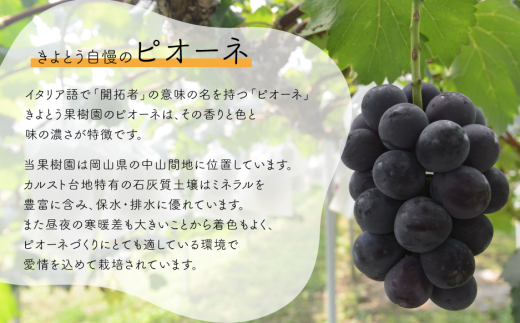 ã2026幎å
è¡äºçŽãéããè³ªïŒæ¡5-7çãšããªãŒãïŒã·ã£ã€ã³ãã¹ã«ãã3-5æ¿ã®äžçŽåãå±ãïŒå䟿 (å®æäŸ¿)(岡山çç£)ãKF-T029-02ã