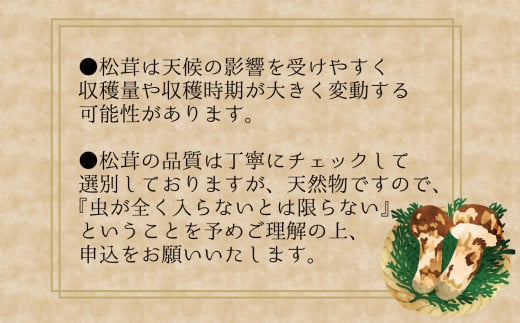 ã2026幎å
è¡äºçŽãè±ç¬ã¿èŸ²åã岡山ã®ãæŸèž+ã·ã£ã€ã³ãã¹ã«ãããç§ã®å³èŠã»ãã ãhana022-02ã