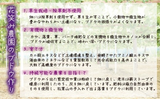 【2026年の先行予約】岡山 花笑み農園 10月おすすめ『ぶどう３種』家庭用（1.8kg） 3M-2L家 / ぶどう 詰め合わせ 食べ比べ シャインマスカット 岡山 真庭市 【hana086-01】