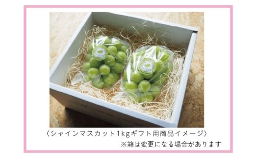 【2026年先行予約】 ここちとふぁーむ 【ギフト】 岡山県産 シャインマスカット 2～3房 1kg以上 【koko001-02】