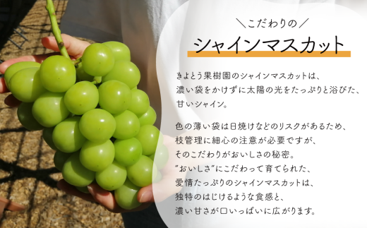 ã2026幎å
è¡äºçŽãèš³ããã ãã©ãçïœãã·ã£ã€ã³ãã¹ã«ãã/çŽ2.2kg (岡山çç£)ãKF-B015-03ã