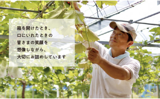 ã2026幎å
è¡äºçŽãæ¬ã®ã¶ã©ãïŒå皮詰ãåãã(ã·ã£ã€ã³ãã¹ã«ããå
¥ã) 3~5æ¿/èš2.0kg~ (岡山çç£) ãKF-B067-02ã