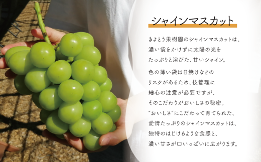 ã2026幎å
è¡äºçŽãæ¡ãããªãŒããã·ã£ã€ã³ãã¹ã«ãããå°ããã€å±ãå€ã®æºè¶³äŸ¿ïŒïŒå䟿(å®æäŸ¿) (岡山çç£)ãKF-T022-02ã