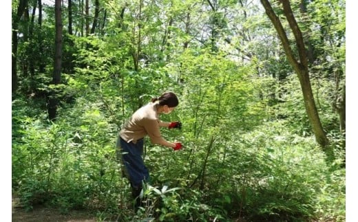 ã ãããªã«ãµãã³ ã ã¢ãªã³ã¬ ãã¥ãŒãã£ã»ã©ã ã¯ãã¢ãžã®éŠã / ã¢ãªã³ã¬ çŸå®¹ãªã€ã« ã»ã©ã ãã ãã ã¹ãã³ã±ã¢ æäœã 岡山ç çåºåž åœç£ ã¯ãã¢ãž ãsavon015-01ã