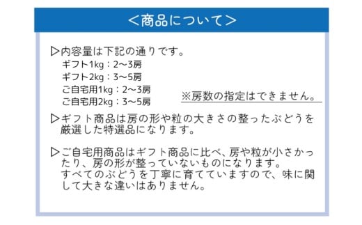 【2026年先行予約】 ここちとふぁーむ 【ギフト】 岡山県産 シャインマスカット 2～3房 1kg以上 【koko001-02】