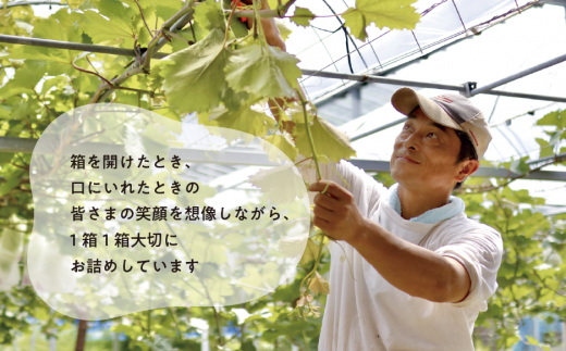 ã2026幎å
è¡äºçŽãéããè³ªïŒæ¡ãšã·ã£ã€ã³ãã¹ã«ãããäžçŽåã®2å䟿(å®æäŸ¿) (岡山çç£) / 7æ9æãKF-T018-04ã