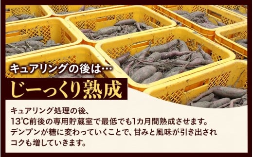 【訳あり】針山さんちのさつまいも 紅はるか 5kg / さつまいも 紅はるか 岡山県 野菜 【ybrf002-01】