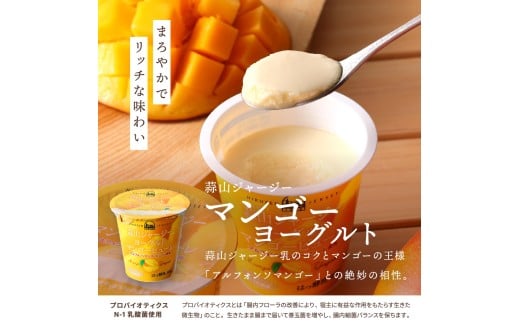 【12カ月定期便】 蒜山ジャージーデザートヨーグルト12個セット（4種類×３個） 詰め合わせ 乳製品 贅沢ヨーグルト スイーツ 白桃 マンゴー ブルーベリー 食べ比べ プレゼント 蒜山酪農 真庭 岡山 ジャージー 牛乳 【hiru-tkb016】