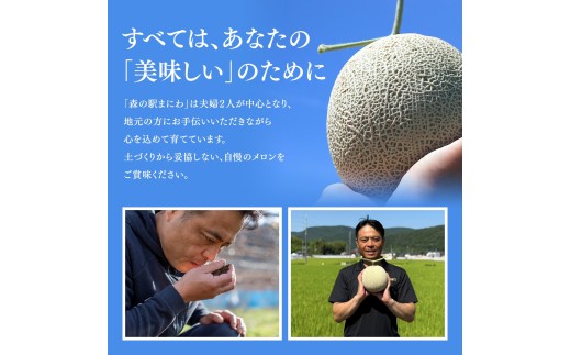 【2026年先行予約】 岡山メロン アールスメロン2玉（3kg以上） ※7月末より順次発送 岡山県 真庭市 フルーツ 果物 高級 ギフト 贈答 ご家庭用 【mnem002-01】