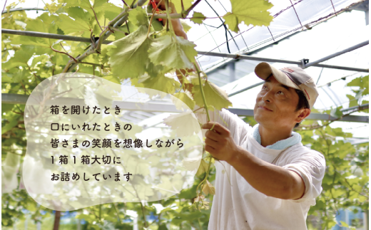 シャインマスカット＆ニューピオーネ 3-5房/計2.0kg～ (岡山県産) 【KF-B070-03】