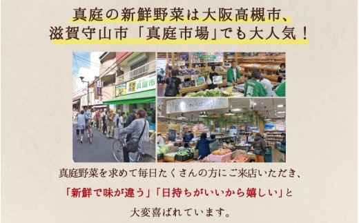 【12カ月定期便】真庭あぐり野菜セット セットカット野菜が1品入る 7～8品 / 詰め合わせ 産地直送 お試し 岡山県 産直工房 新鮮 あぐりガーデン 国産 【配送不可：北海道／沖縄県／離島】  【jujy-tkb050】