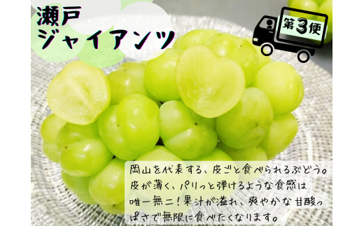 【産地直送】※2026年の予約です！※ 岡山 シャインマスカット 入り定番品種 定期便 3回コース【2026年9月下旬～発送予定】離島発送不可 / 数量限定 葡萄 ぶどう ブドウ 果物 マスカット ピオーネ 瀬戸ジャイアンツ 新鮮 当日出荷 林ファミリー 真庭市【hfbd-tkb017-02】