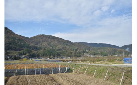 【きよとうファーム】あたご梨と山ぶどうのロゼワイン「季節のほほえみ」 (岡山県産)【KF-S002-02】