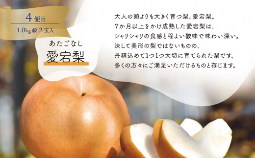 ã2026幎å
è¡äºçŽãæ¡ã»ã¶ã©ãã»æ¢šãå
šïŒåå±ã岡山ãã«ãŒãå®æäŸ¿ (岡山çç£)ãKF-T006-02ã