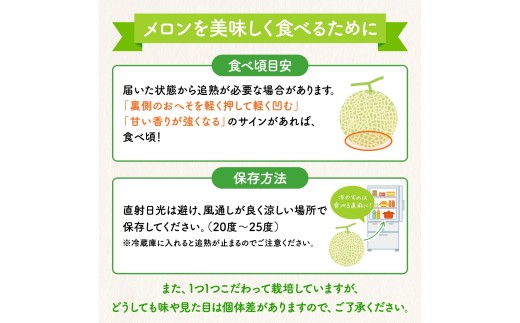 【2026年先行予約】 岡山メロン アールスメロン2玉（3kg以上） ※7月末より順次発送 岡山県 真庭市 フルーツ 果物 高級 ギフト 贈答 ご家庭用 【mnem002-01】
