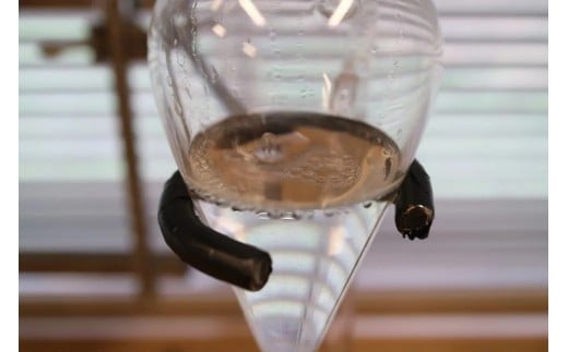 ã ãããªã«ãµãã³ ã ã¢ãªã³ã¬ ãã¥ãŒãã£ã»ã©ã ã¯ãã¢ãžã®éŠã / ã¢ãªã³ã¬ çŸå®¹ãªã€ã« ã»ã©ã ãã ãã ã¹ãã³ã±ã¢ æäœã 岡山ç çåºåž åœç£ ã¯ãã¢ãž ãsavon015-01ã