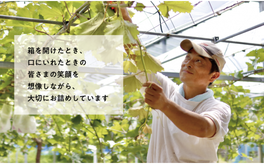 ã2026幎å
è¡äºçŽãæ¡ãããªãŒããã·ã£ã€ã³ãã¹ã«ãããå°ããã€å±ãå€ã®æºè¶³äŸ¿ïŒïŒå䟿(å®æäŸ¿) (岡山çç£)ãKF-T022-02ã