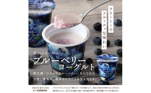 【12カ月定期便】 蒜山ジャージーデザートヨーグルト12個セット（4種類×３個） 詰め合わせ 乳製品 贅沢ヨーグルト スイーツ 白桃 マンゴー ブルーベリー 食べ比べ プレゼント 蒜山酪農 真庭 岡山 ジャージー 牛乳 【hiru-tkb016】