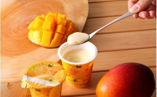 蒜山ジャージーヨーグルト 6種 14点セット 詰め合わせ 食べ比べ ひるぜん 蒜山酪農 真庭 岡山 ジャージー ギフト【hiru009-01】