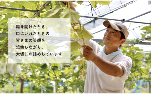 ã2026幎å
è¡äºçŽãéããè³ªïŒæ¡5-7çãšããªãŒãïŒã·ã£ã€ã³ãã¹ã«ãã3-5æ¿ã®äžçŽåãå±ãïŒå䟿 (å®æäŸ¿)(岡山çç£)ãKF-T029-02ã