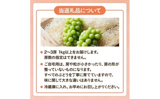 【2026年先行予約】 ここちとふぁーむ 【ご自宅用】 岡山県産 シャインマスカット 2～3房 1kg以上 【koko002-02】