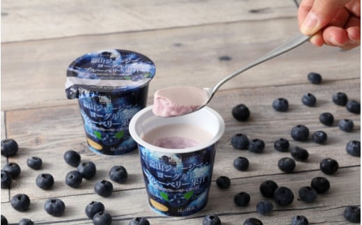 蒜山ジャージーヨーグルト 6種 14点セット 詰め合わせ 食べ比べ ひるぜん 蒜山酪農 真庭 岡山 ジャージー ギフト【hiru009-01】