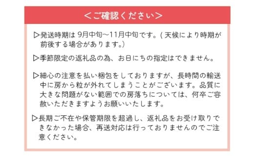 【2026年先行予約】 ここちとふぁーむ 【ギフト】 岡山県産 シャインマスカット 2～3房 1kg以上 【koko001-02】